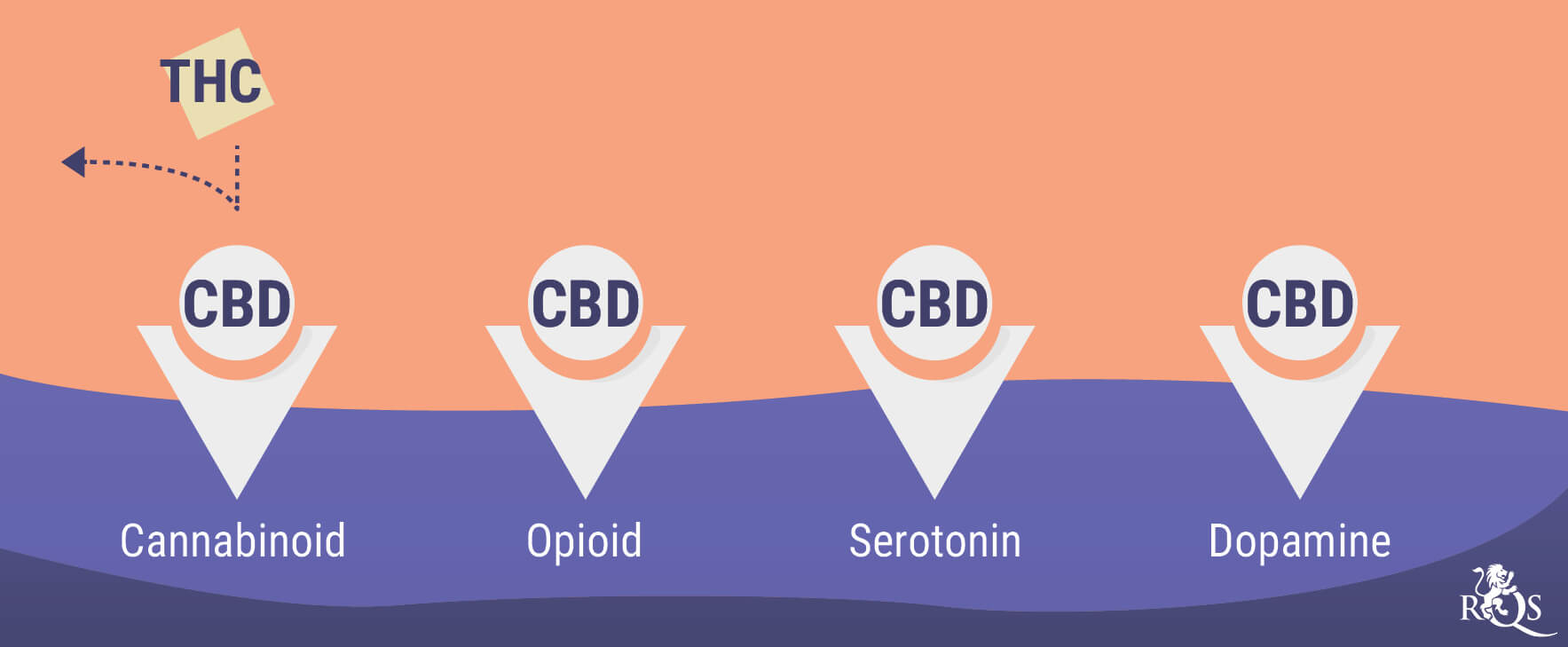 How Cannabis Interacts With Antidepressants RQS Blog